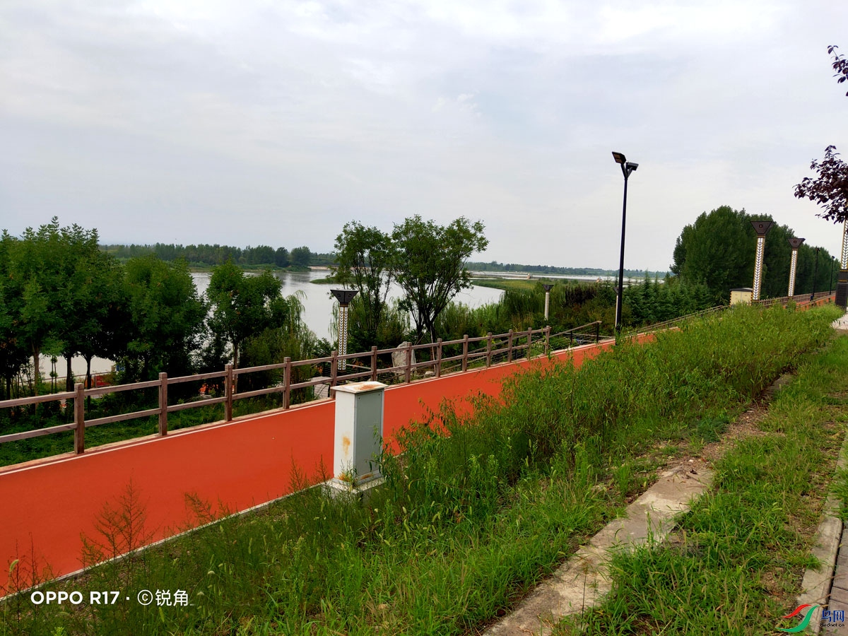 杨凌渭河湿地生态公园掠影