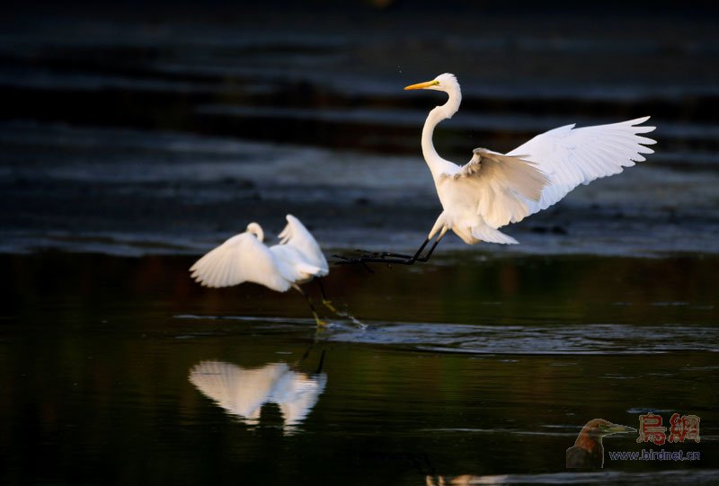 <em>共享</em>图_<em>双胞胎姐妹共享一男</em>_fc2共享免费视频