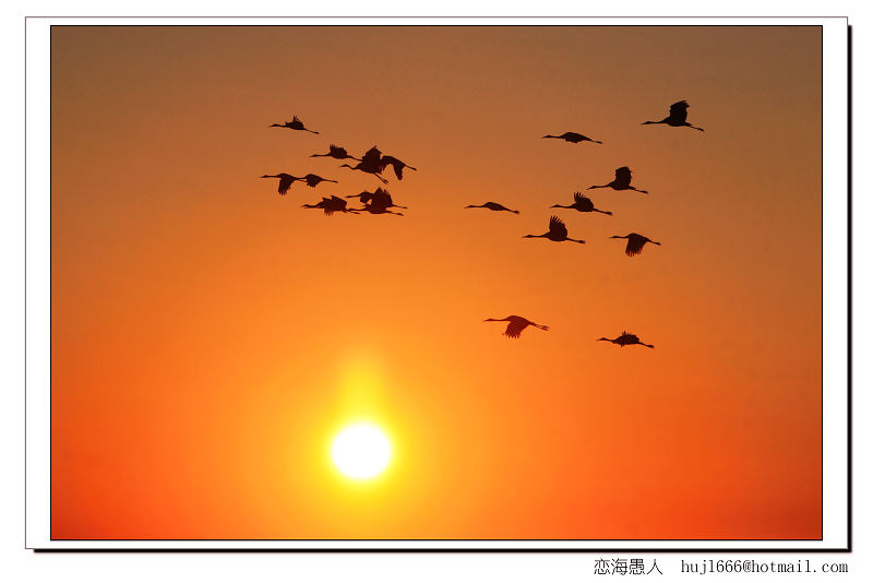 我们的队伍向太阳简谱_我们的队伍向太阳(2)