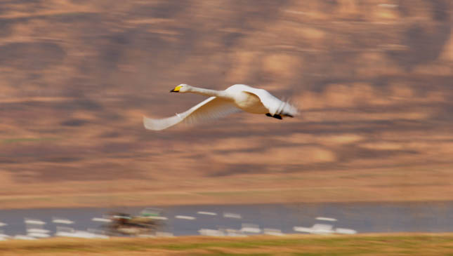20081216_c382a28b11137c7be4e9FYTyf8lRJrZc.jpg
