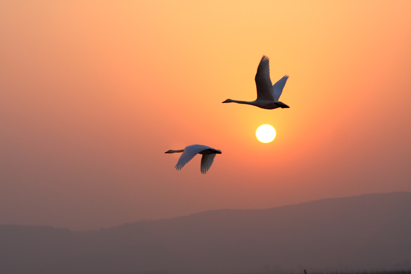 长河落日---夕阳与天使