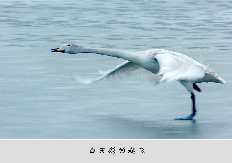 20090119_978274017b3d3b5ff653NrXDJaVjbsCY.jpg