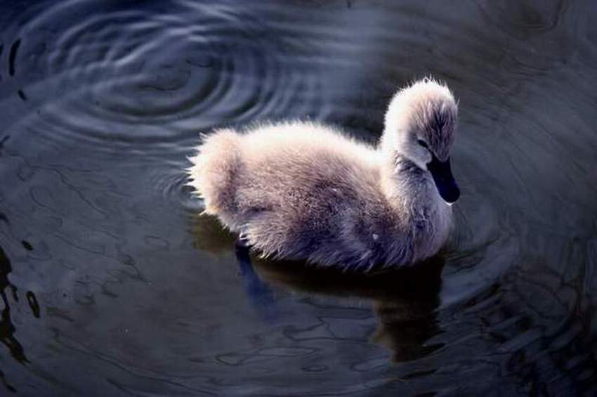 20090319_896c870f3599b55c80bfiE7QU1CoKEKV.jpg