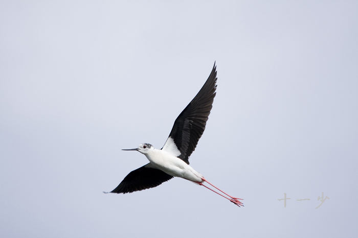 20090713_c8a3c36b3a0a89a7dc61vyYLThWc17Be.jpg