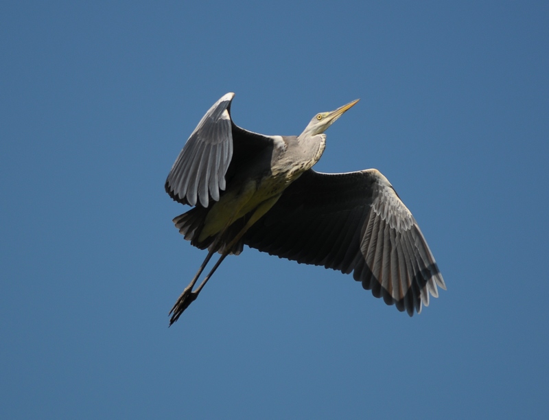 20090731_e49af34ac658f5dfffff8nnry99hZMzh.jpg