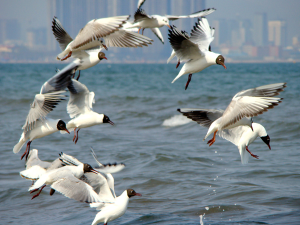 20090818_91a9408523ea14fd060fdnzrlhgWnRuw.jpg