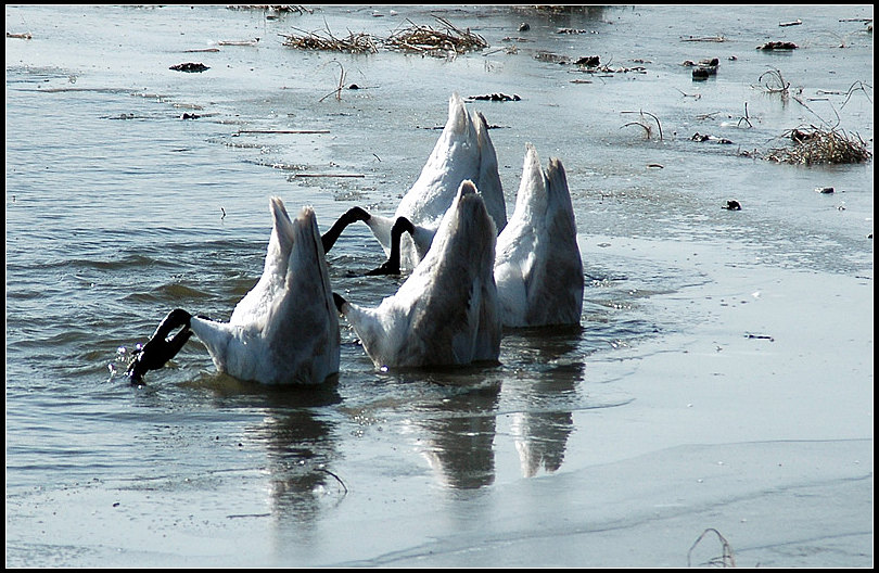 20090912_c4d9fd97a2403ef46c2bMOMBE8ZALt1q.jpg
