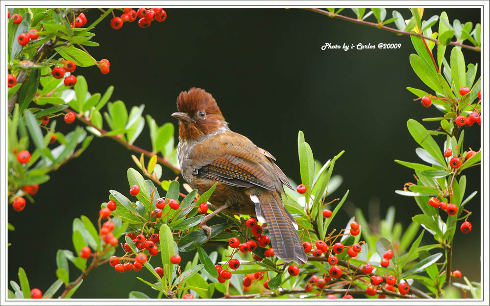 20091007_a2f0cb70225c2ddac369B4qRH24tu8Nm.jpg