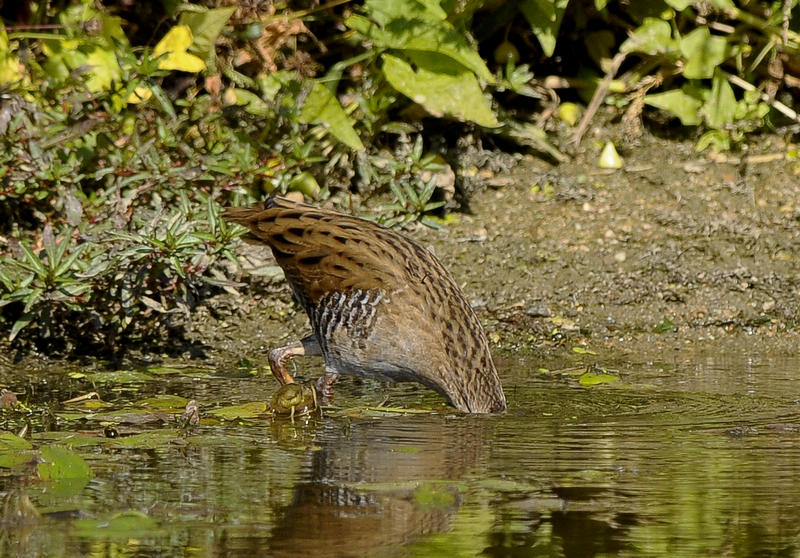 20091014_7fd1f3e6db75cf689c72OyO44eOoYKIp.jpg
