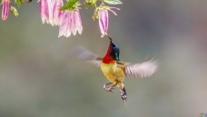 ����һ�ǣ��������