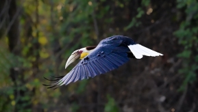 �������Ϭ��