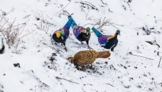 �������