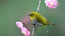 ��������-���