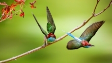 �۷ɴƴ����ּ�