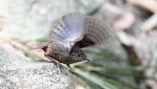 ��������----��Ҫ�ɵø���