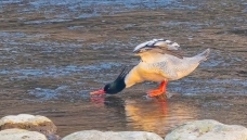 �������