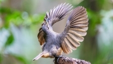 ������֣�