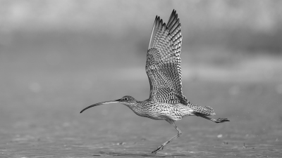 �����:����