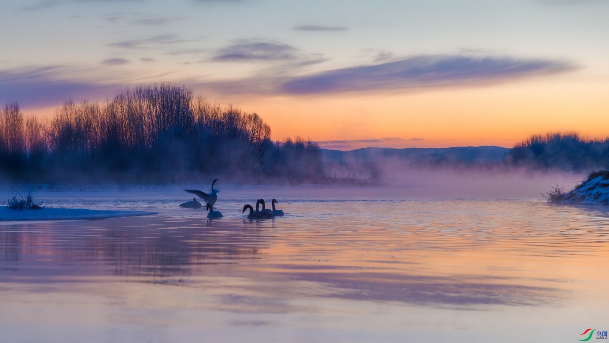 ��������    ��ǧ�Ȱ�