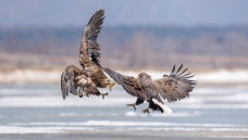 �㵹�ǽ��а���