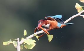 ������̶�ʮ�� ������޲�ͣЪ