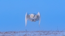 ѩ�^����������������