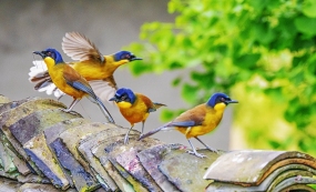 �������̣��ռ����˹���