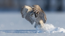 ���֡������^