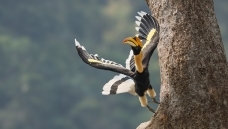 �µ�������