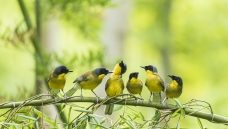 �������