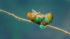 �ؼ�����