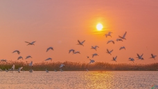 ���ڶ���