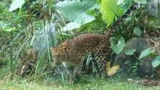 ׼������