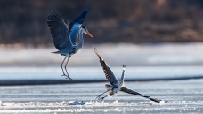 �ǲ���Ҳ�㲻��