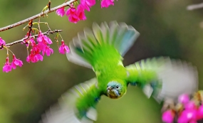 ҵ����ҵġ�Զ���ƾ֡�֮·