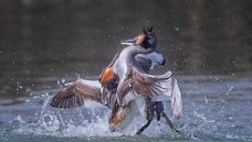 ��ͷ������ˮ������