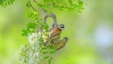 �л���ȸ