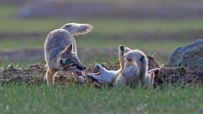 ��ʱ�Ŀ���ʱ��