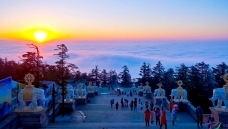 ��ü������