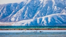 ѩɽ  ����  �����