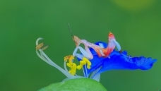 �ͻ�