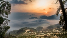 �ƺ�����