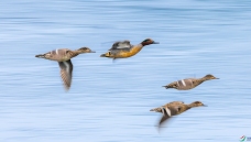 ����Ұ���̳�Ѽ