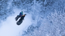 ��ԭ����