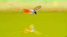 ��練�