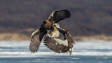 ��·��ꡪ����ͷ����