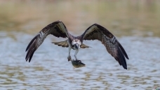 �����ҵ���