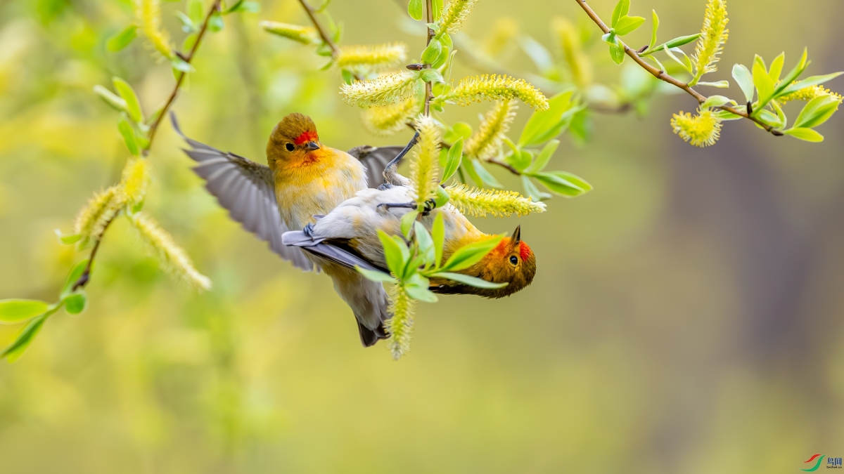 ������ɫů ��ڵ㴺��