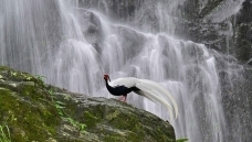 �²����ټ�