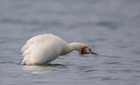 ������ϵİ��¾���